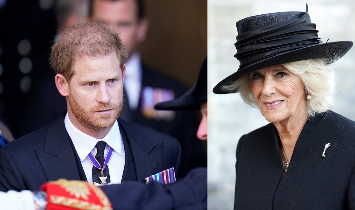Princas Harry ir Camilla