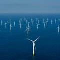 Vyriausybė pritarė antrojo jūros vėjo elektrinių parko konkurso datai