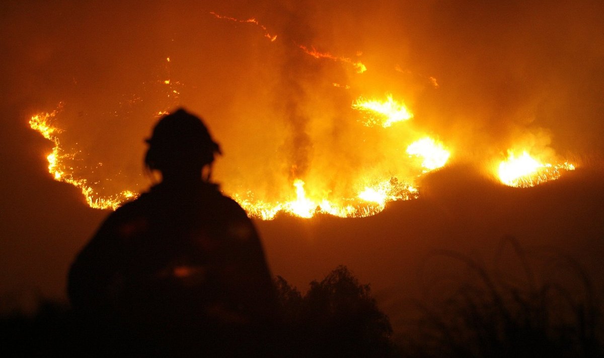 Los Andžele plinta miškų gaisrai 