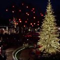 Milijonas lempučių Tivoli parkui suteikia kalėdinę atmosferą