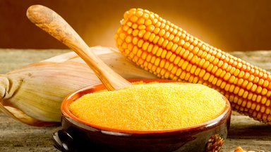 Еврокомиссия разрешит выращивание ГМО-кукурузы