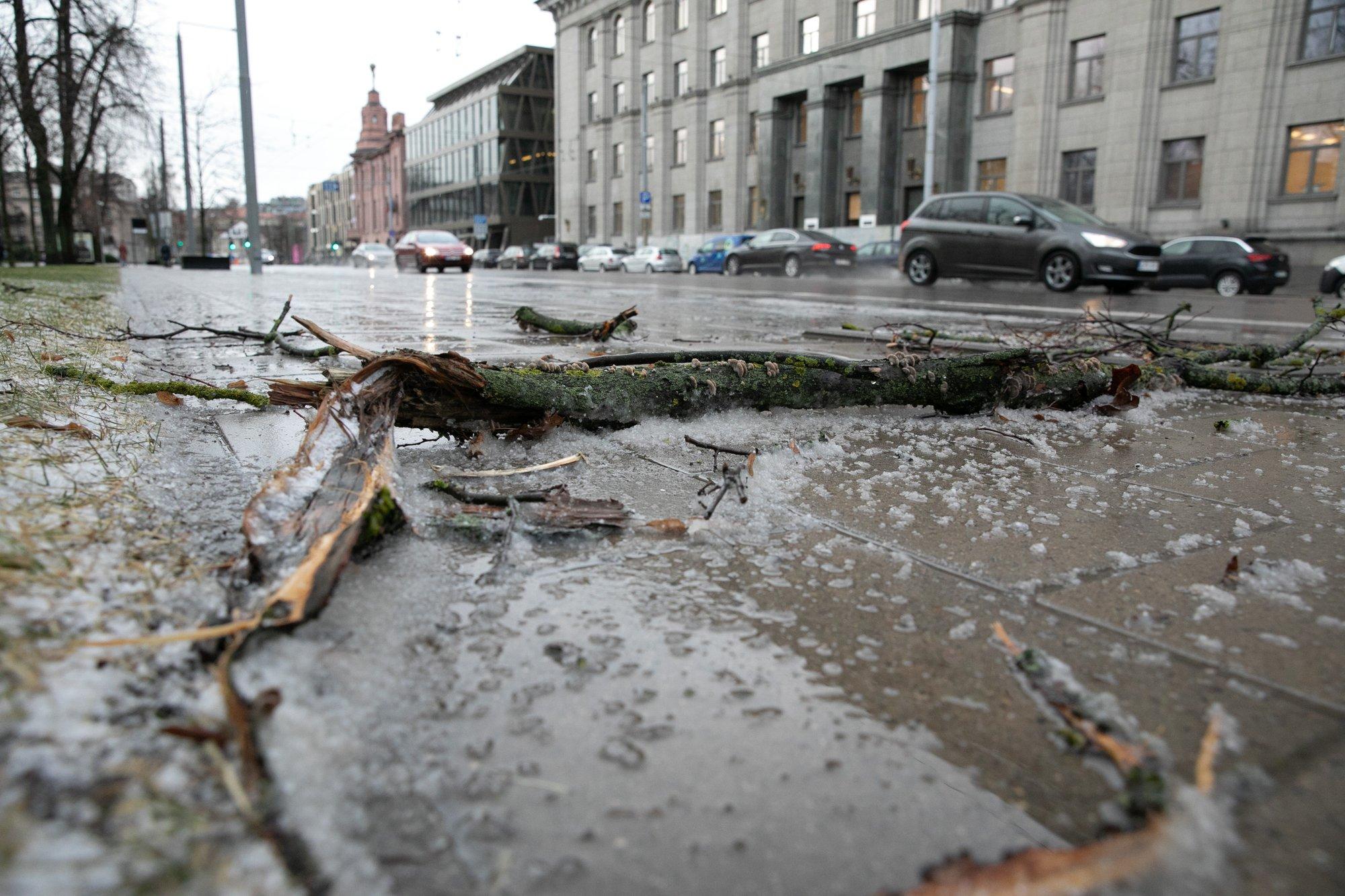 „Lietuvos Draudimas“: Dėl Siautėjusios Audros – Nuostoliai Jau 120 ...