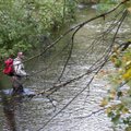 Priminimas ketinantiems žvejoti savaitgalį lašišinėse upėse