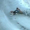 JAV nuo ežero ledo išgelbėtas pernelyg toli nuklydęs šuo