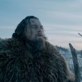 Vargšas Leonardo DiCaprio: internete pasklido gandai apie grizlio išprievartautą aktorių