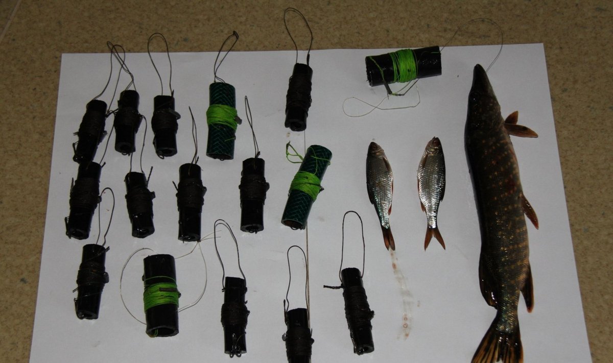 Konfiskuotos žvejybos priemonės ir sugauta lydeka