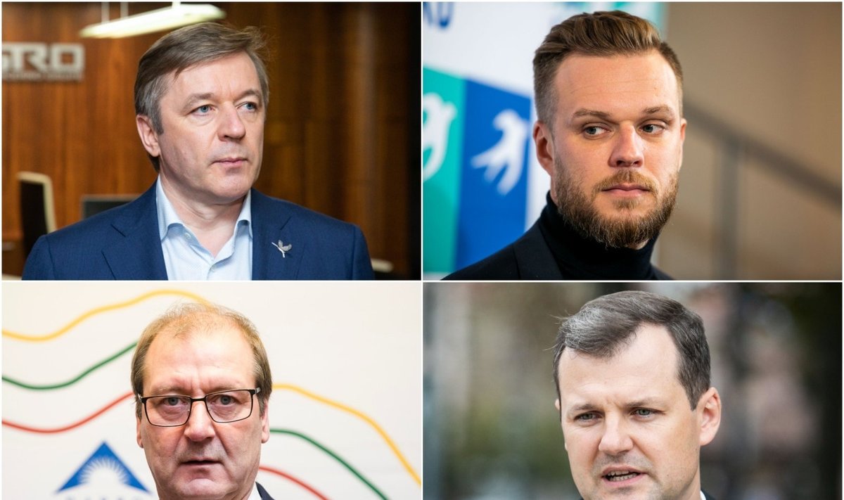 Ramūnas Karbauskis, Gabrielius Landsbergis, Viktoras Uspaskichas ir Gintautas Paluckas. 