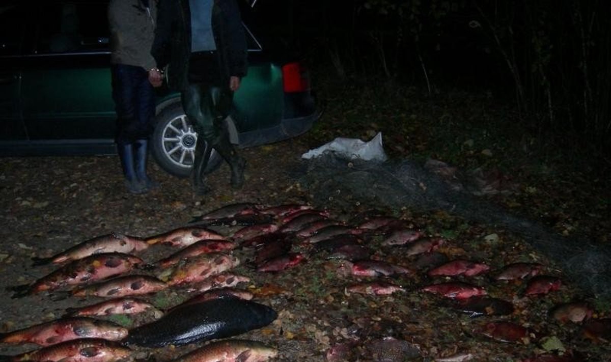 Kauno rajono gyventojų iš marių ištrauktas laimikis 