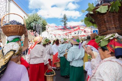 Vyno festivalis – Madeira