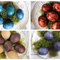 Živilė dalijasi 8 būdais, kaip marginti kiaušinius, – stulbinančios spalvos ir netikėti rezultatai