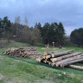 Atsibodo laukti pokyčių – Lietuvos miškų gelbėtojai buriasi į „Girių spiečių“
