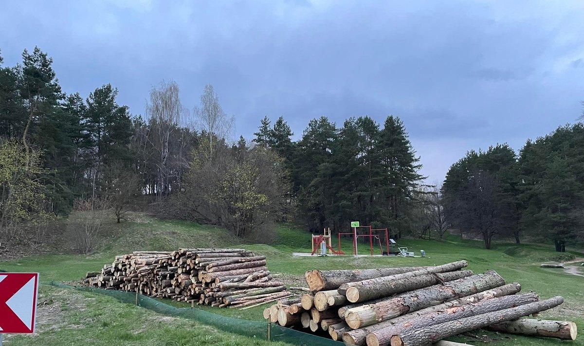 Pavilnių regioniniame parke kertamas miškas