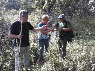 Mokslininkai renka genetinę medžiagą apie senųjų veislių obelis (Dubysos regioninio parko nuotr.)