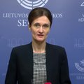 Čmilytė-Nielsen: žala Seimo įvaizdžiui padaryta