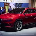 „Alfa Romeo“ plečia visureigių gamą – parodė, koks bus mažesnis „Stelvio“ brolis