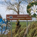 Ne visi žino apie šį parką Lietuvos centre – šimtai magnolijų jau pasipuošė įspūdingais žiedais