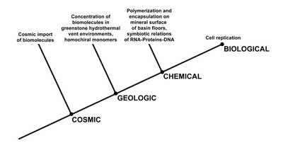 Hierarchinės gyvybės kilmės hipotezės atvaizdavimas (S. Chatterjee iliustr.)