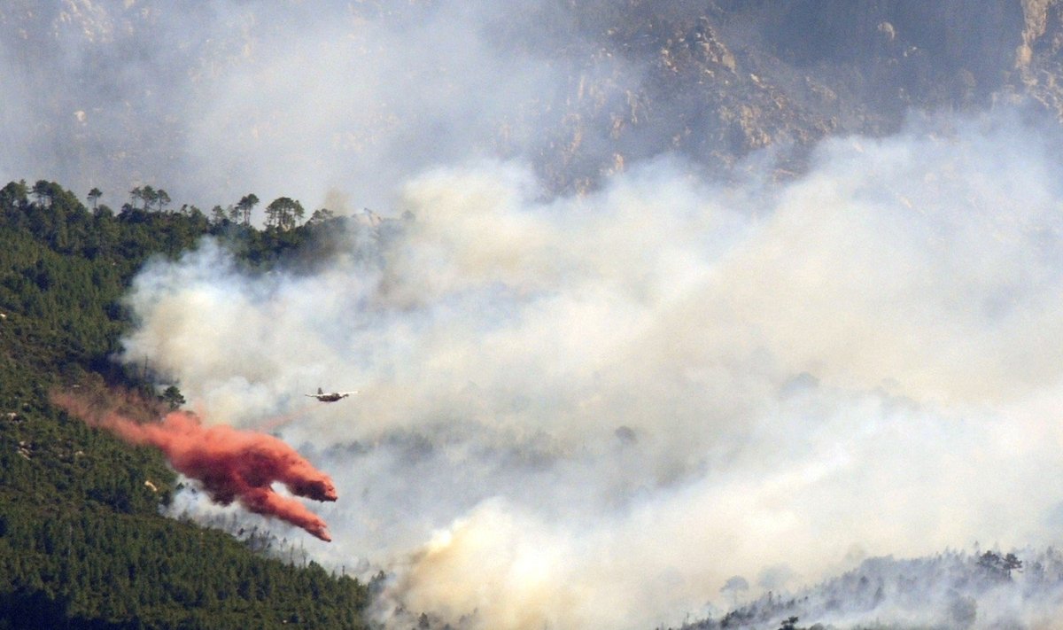 Italų lėktuvas gesina miško gaisrą