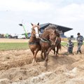 Neariminei žemdirbystei planuojama skirti 8 mln. eurų