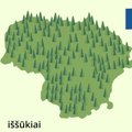 Nacionalinis miškų susitarimas: kaip ateityje atrodys Lietuvos miškai?