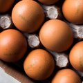 Atsisakyti 3 numeriu pažymėtų kiaušinių vertėtų ne tik dėl gyvūnų gerovės: specialistė įvardijo, kurie kiaušiniai yra maistingiausi ir skaniausi