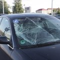 Vilniaus rajone neadekvatus vandalas suniokojo vienuolika automobilių