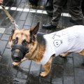 Seimas nesutiko griežtinti bausmių už gyvūnų kankinimą