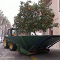 Internetą džiugina vaisius Ispanijoje purtantis traktorius