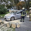 Sekmadienį ugniagesiai beveik 300 kartų kviesti pašalinti nuvirtusių medžių, nukentėjo apie 10 automobilių