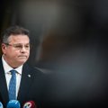 Linkevičius: Lietuva sveikina patvirtintą „Europos Magnickio įstatymą“