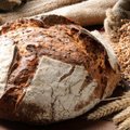 Šaldymas ar konservavimas: kaip duonos gaminiai ilgiau išlieka švieži?