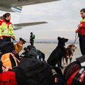 Литва планирует отправить отряд спасателей на помощь пострадавшей от землетрясения Турции
