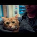 Filmo apie gatvės muzikanto gyvenimą pakeitusią katę premjeroje apsilankė K. Middleton