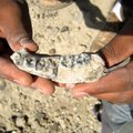 Etiopijoje aptiktos pirmojo žinomo žmogaus liekanos