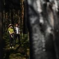 Vaitkutė ir Mamontovas Europos parke atkuria instaliaciją „Anglies miškas“