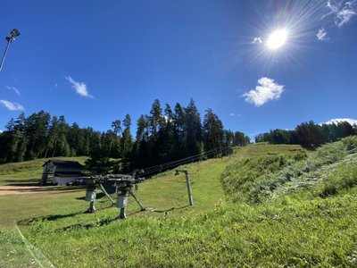 Ozolkals
