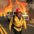 Šiaurės Kalifornijoje toliau siaučia didžiuliai miško gaisrai, žuvo žmogus