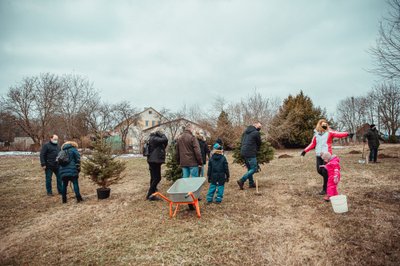 Kalėdų miškas (Adomo Kačerausko nuotr.)