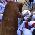 Tradiciniame bulių bėgime Pamplonoje - pirmieji sužeistieji