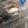 Sanatorijoje Panevėžio narkobaronui uždėti antrankiai: nuteistas už 300 kg kokaino jachtoje ir 760 kg kanapių dervos siuntą į Rusiją