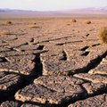 Čilės mokslininkų burtai: kaip Atakamos dykumoje sugautas rūkas virsta geriamu vandeniu
