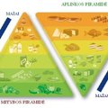 Nauja mitybos piramidė: kas nesveika mums ir kas nesveika aplinkai