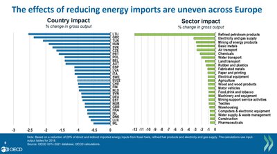 Rusiškų energetinių išteklių importo sumažėjimo poveikis šalims ir sektoriams, 1 lentelė