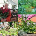 Augalų ekspertė pamokė, kaip derinti daržoves bei gėles: vaizdas ne tik džiugins, tačiau ir teiks naudą