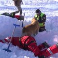 Šveicarijos Alpėse gelbėtojai ir šunys rengiasi lavinų sezonui