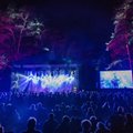 Festivalis „Purpurinis vakaras“: akustiniai koncertai, parodos, premjeros ir poezija naktimis