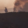 Miškų gaisrai Tenerifėje apėmė daugiau kaip 7 proc. salos teritorijos