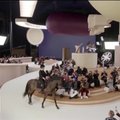 „Chanel“ kolekcijos pristatyme podiumu žengė ir žirgas