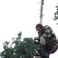 Mįslė Sietlo policijai: niekas nežino, kas yra šis „vyras medyje“