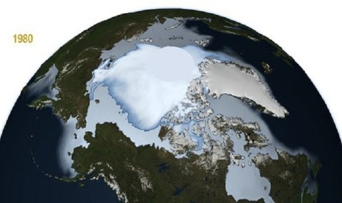Arkties ledynai 1980 m.